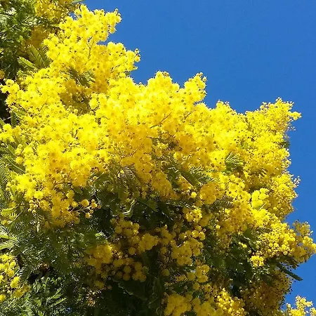 Restaurant Les 3 Chenes